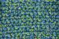 Preview: Twister Socken-Set Hawai